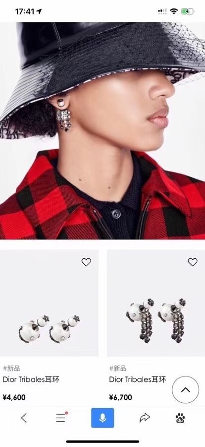 Dior Earrings CE6103