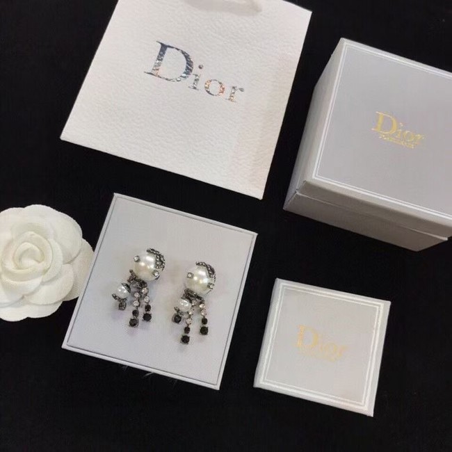 Dior Earrings CE6103