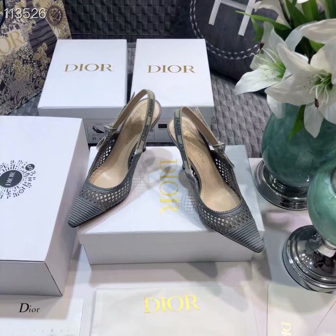 Dior Shoes Dior749DJC-11 6CM height