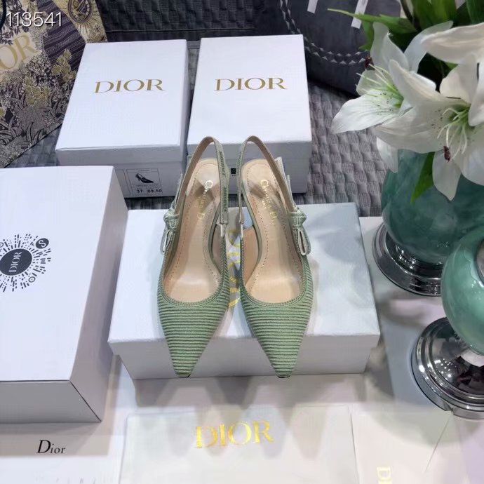 Dior Shoes Dior751DJC-3