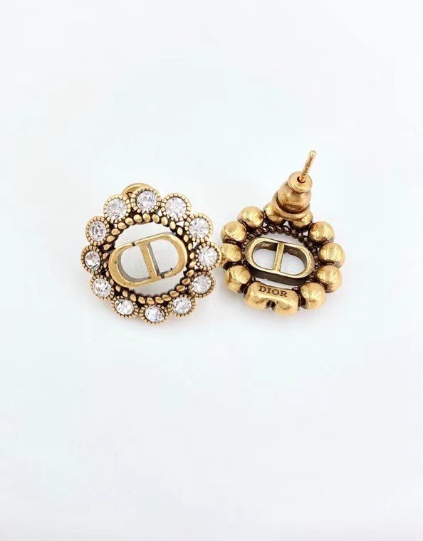 Dior Earrings CE6304