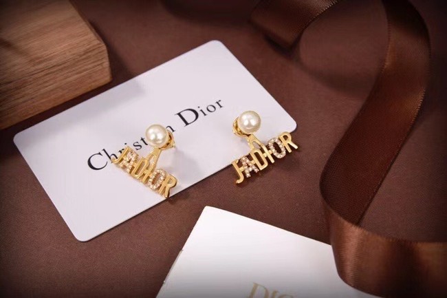 Dior Earrings CE6310