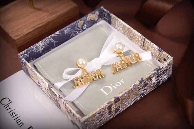 Dior Earrings CE6310