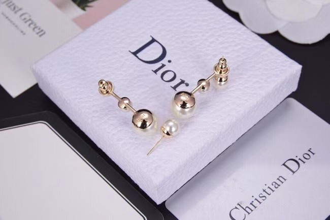 Dior Earrings CE6312