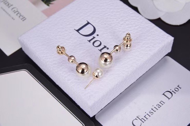 Dior Earrings CE6312