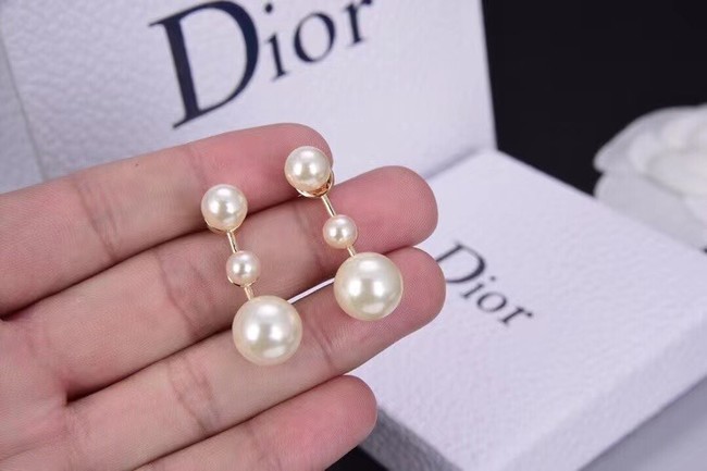 Dior Earrings CE6312