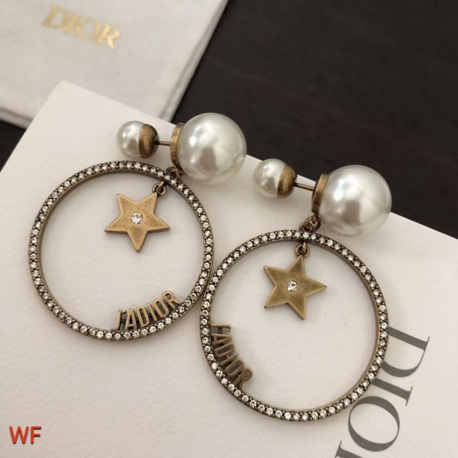 Dior Earrings CE6330