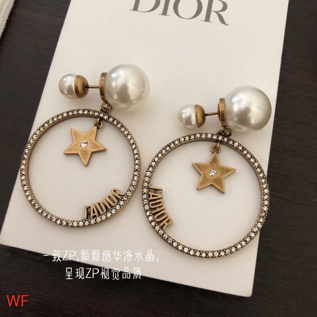 Dior Earrings CE6330