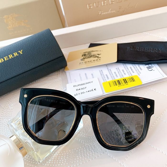 Burberry Sunglasses Top Quality B6001_0037