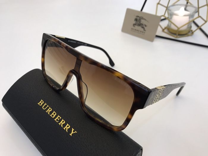 Burberry Sunglasses Top Quality B6001_0083