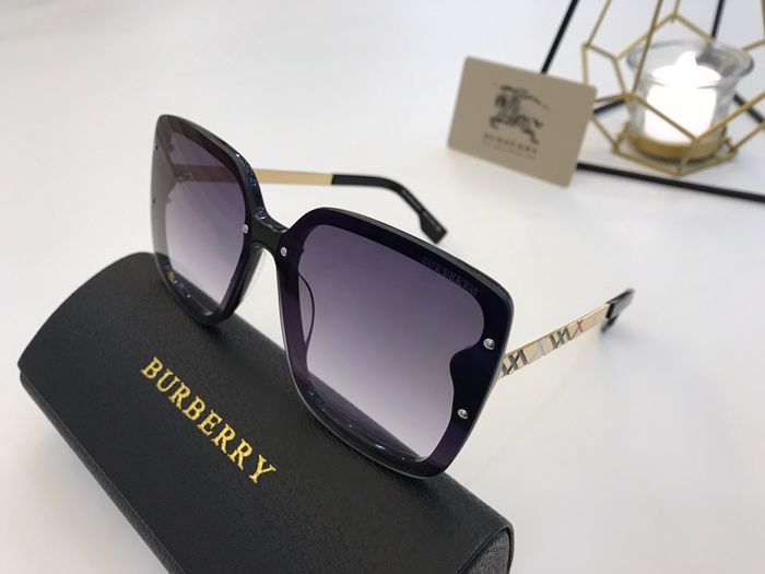 Burberry Sunglasses Top Quality B6001_0087