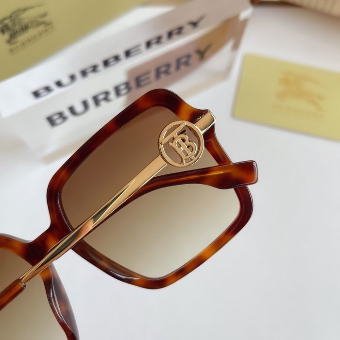 Burberry Sunglasses Top Quality B6001_0195