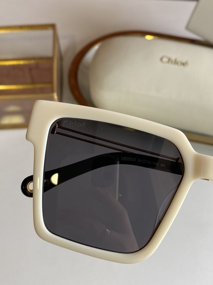 Chloe Sunglasses Top Quality C6001_0049