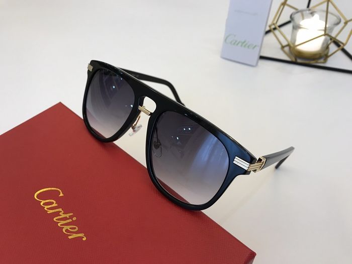 Cartier Sunglasses Top Quality B6001_0017