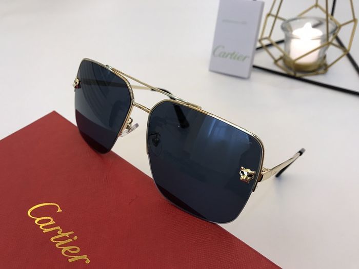 Cartier Sunglasses Top Quality B6001_0020