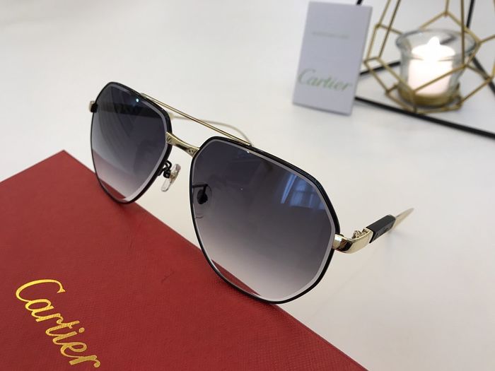Cartier Sunglasses Top Quality B6001_0021