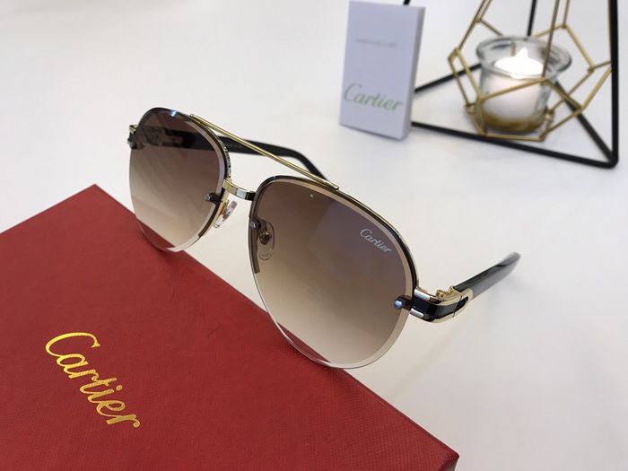 Cartier Sunglasses Top Quality B6001_0027
