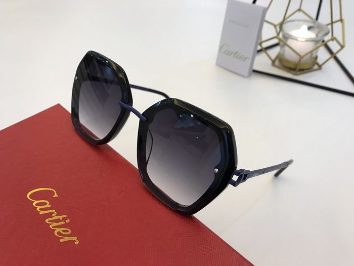 Cartier Sunglasses Top Quality B6001_0033