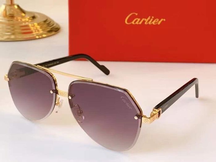 Cartier Sunglasses Top Quality B6001_0038