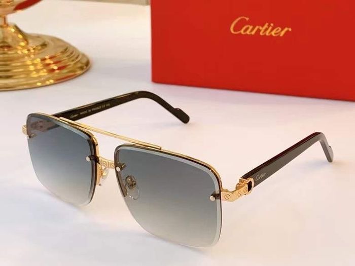 Cartier Sunglasses Top Quality B6001_0039