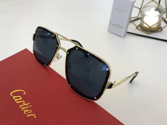 Cartier Sunglasses Top Quality B6001_0042