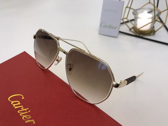Cartier Sunglasses Top Quality B6001_0048
