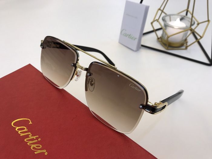 Cartier Sunglasses Top Quality B6001_0053