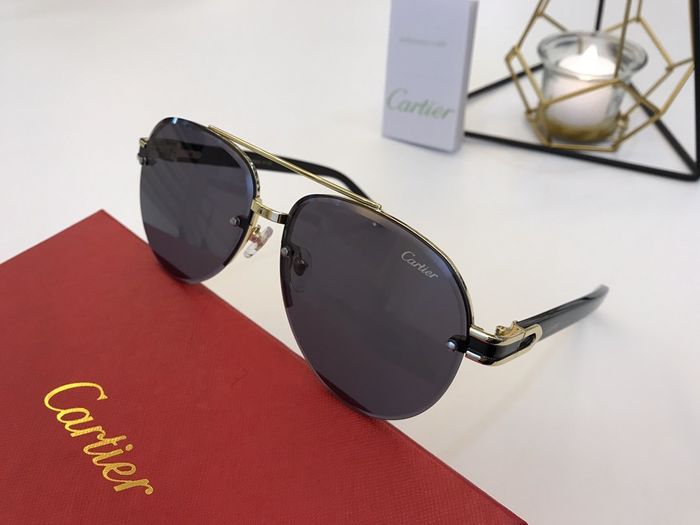Cartier Sunglasses Top Quality B6001_0054