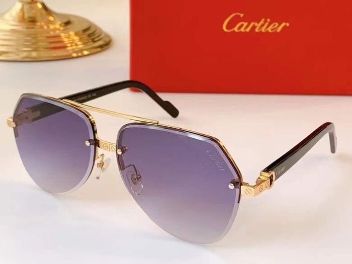 Cartier Sunglasses Top Quality B6001_0065