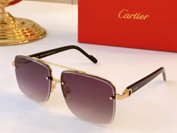 Cartier Sunglasses Top Quality B6001_0066