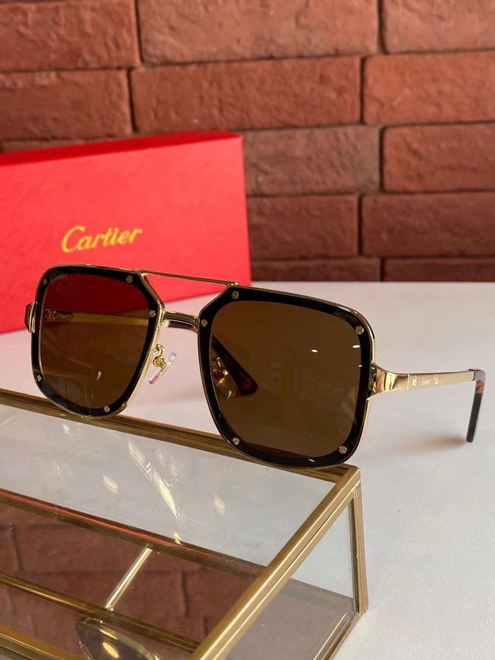 Cartier Sunglasses Top Quality B6001_0067