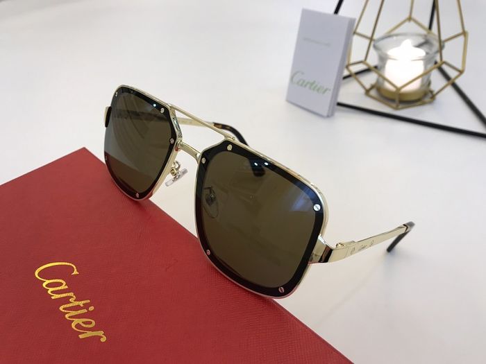 Cartier Sunglasses Top Quality B6001_0069