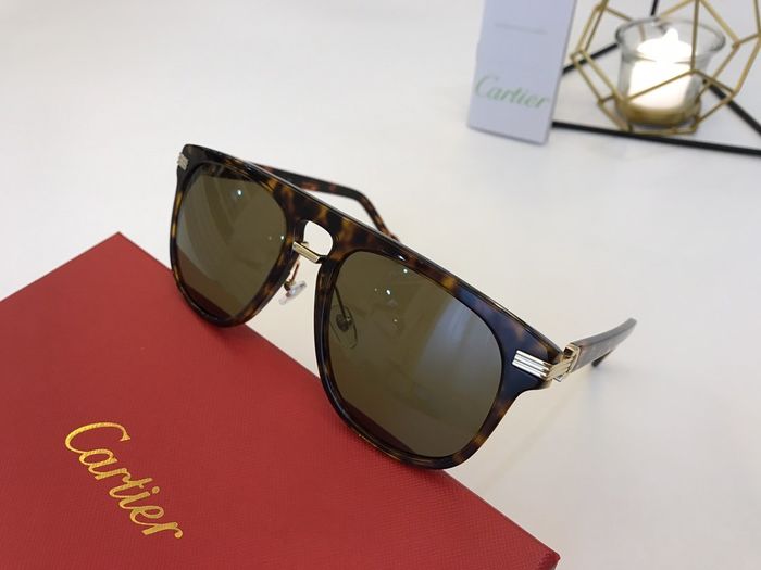 Cartier Sunglasses Top Quality B6001_0071