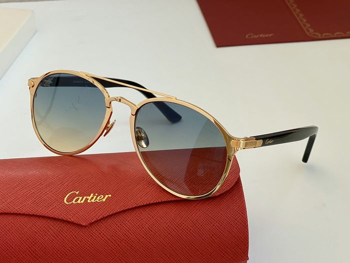Cartier Sunglasses Top Quality B6001_0072