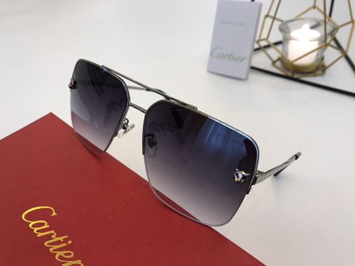 Cartier Sunglasses Top Quality B6001_0074