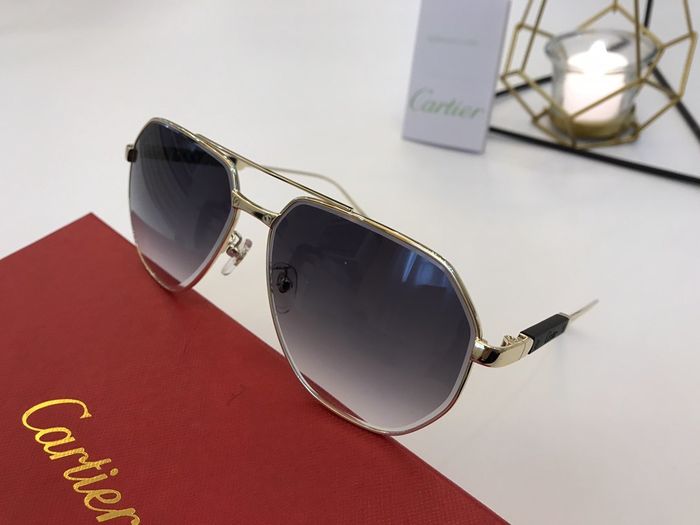 Cartier Sunglasses Top Quality B6001_0075