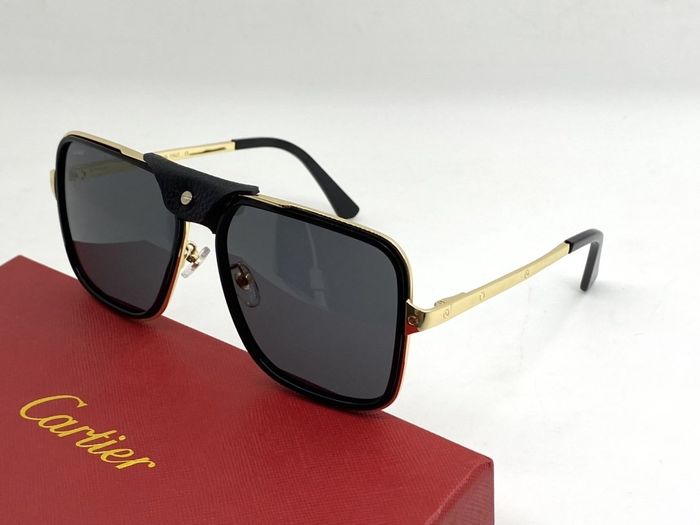 Cartier Sunglasses Top Quality B6001_0077