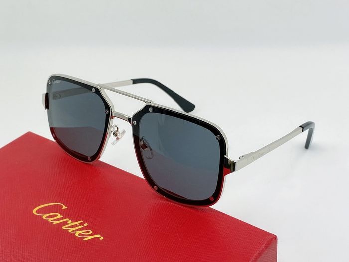 Cartier Sunglasses Top Quality B6001_0079
