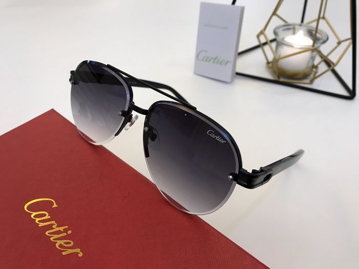 Cartier Sunglasses Top Quality B6001_0081
