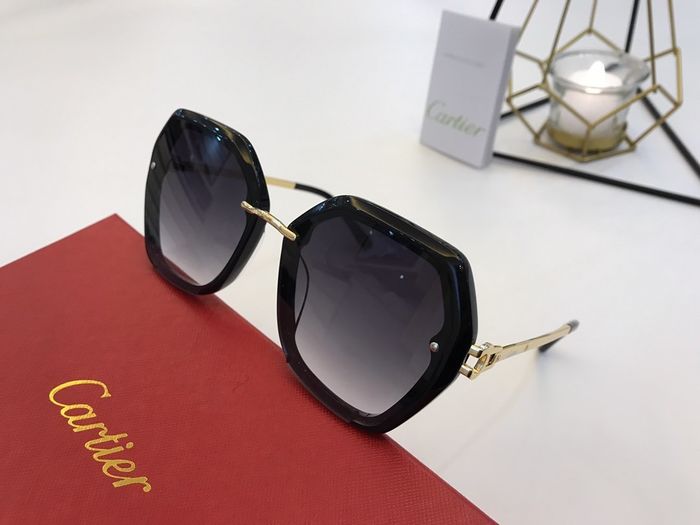 Cartier Sunglasses Top Quality B6001_0087