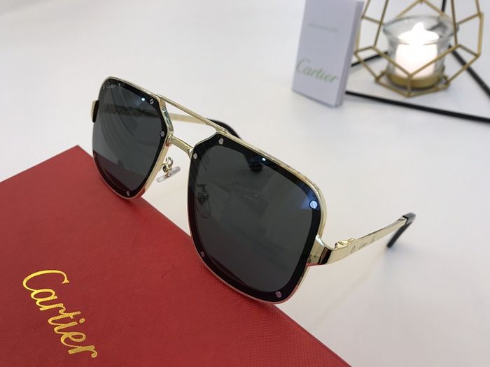 Cartier Sunglasses Top Quality B6001_0096