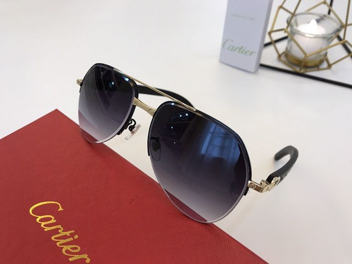 Cartier Sunglasses Top Quality B6001_0097