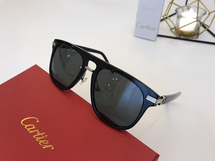 Cartier Sunglasses Top Quality B6001_0098
