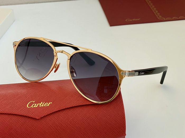 Cartier Sunglasses Top Quality B6001_0099