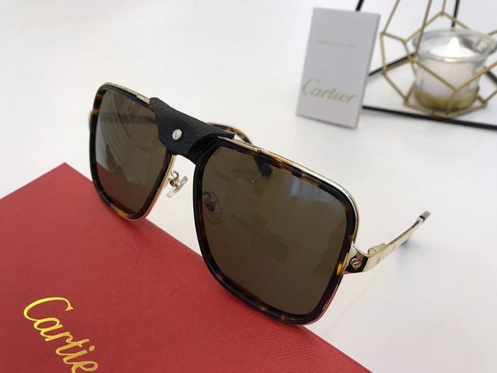 Cartier Sunglasses Top Quality B6001_0103