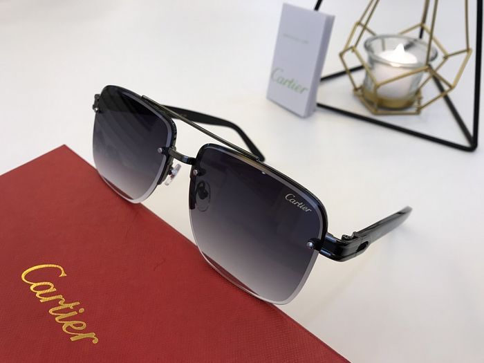 Cartier Sunglasses Top Quality B6001_0107