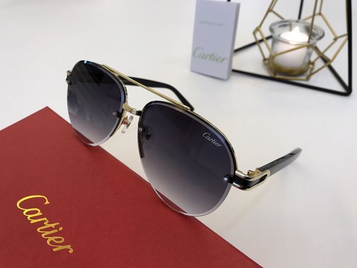 Cartier Sunglasses Top Quality B6001_0108
