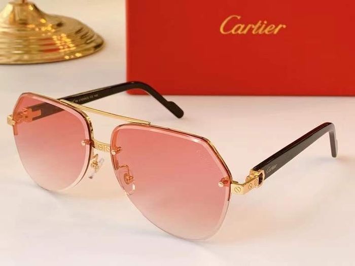 Cartier Sunglasses Top Quality B6001_0119