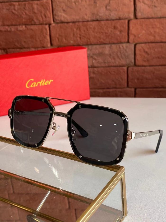Cartier Sunglasses Top Quality B6001_0121