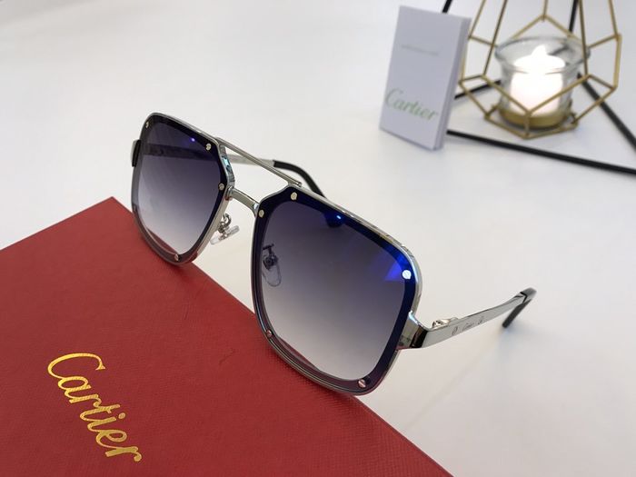 Cartier Sunglasses Top Quality B6001_0123